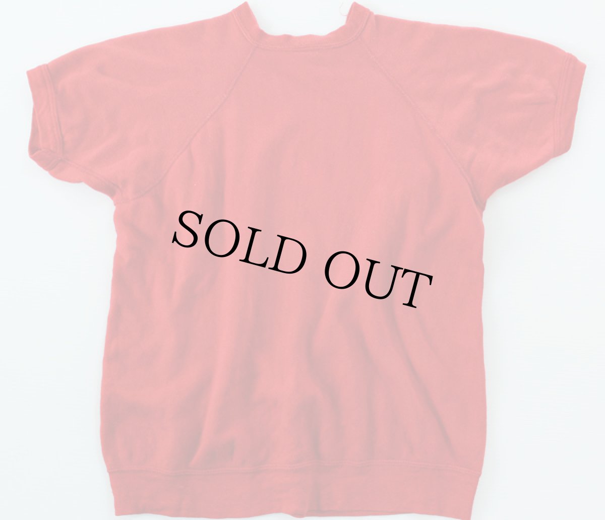 画像2: 70s USA製 Championチャンピオン ブルドッグ 半袖スウェット 赤 (2)