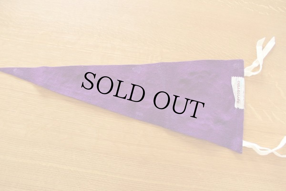 画像2: ビンテージ CORNELL フロッキー フェルトペナント (2)