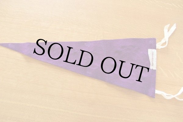 ビンテージ CORNELL フロッキー フェルトペナント - Sixpacjoe Web Shop