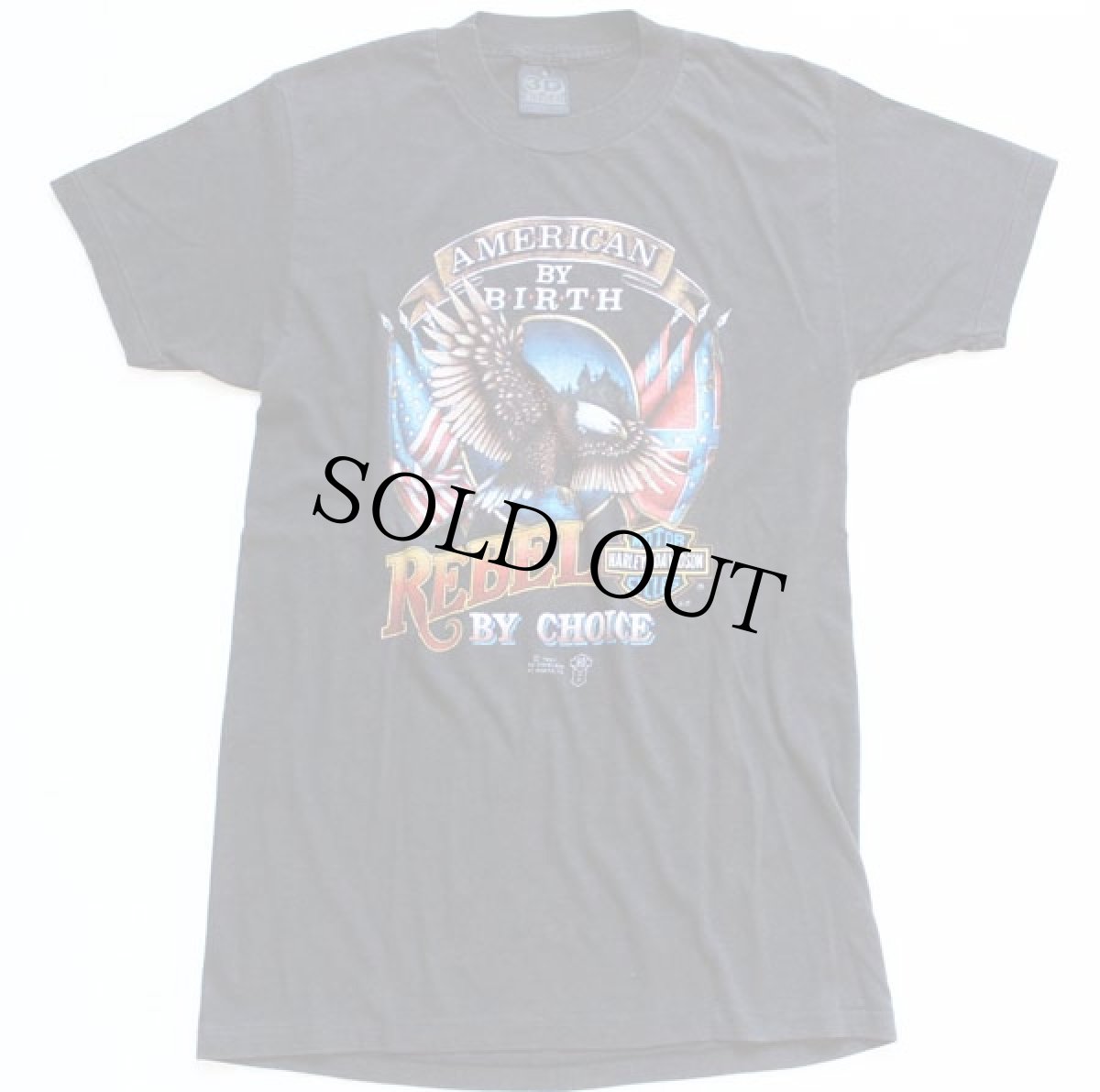 画像2: 80s USA製 HARLEY-DAVIDSONハーレー ダビッドソン スカル Tシャツ M (2)