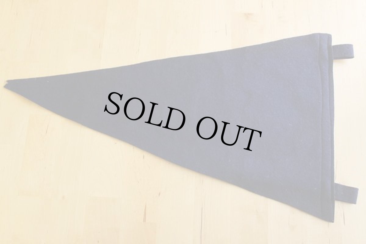 画像2: ビンテージ USAF 1944 フェルトペナント (2)