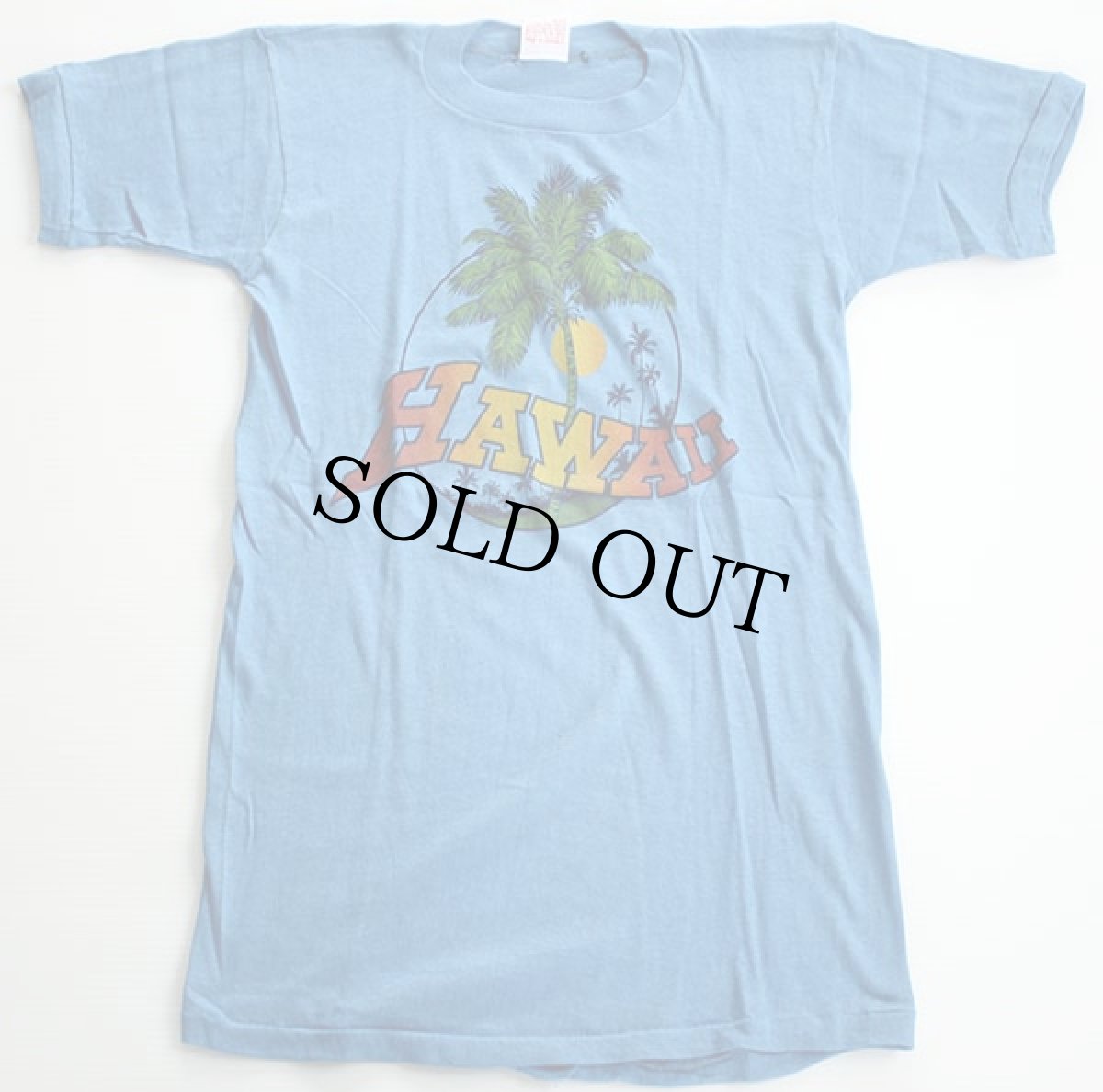 画像2: デッドストック★80s HAWAII パキ綿 Tシャツ 青 M (2)