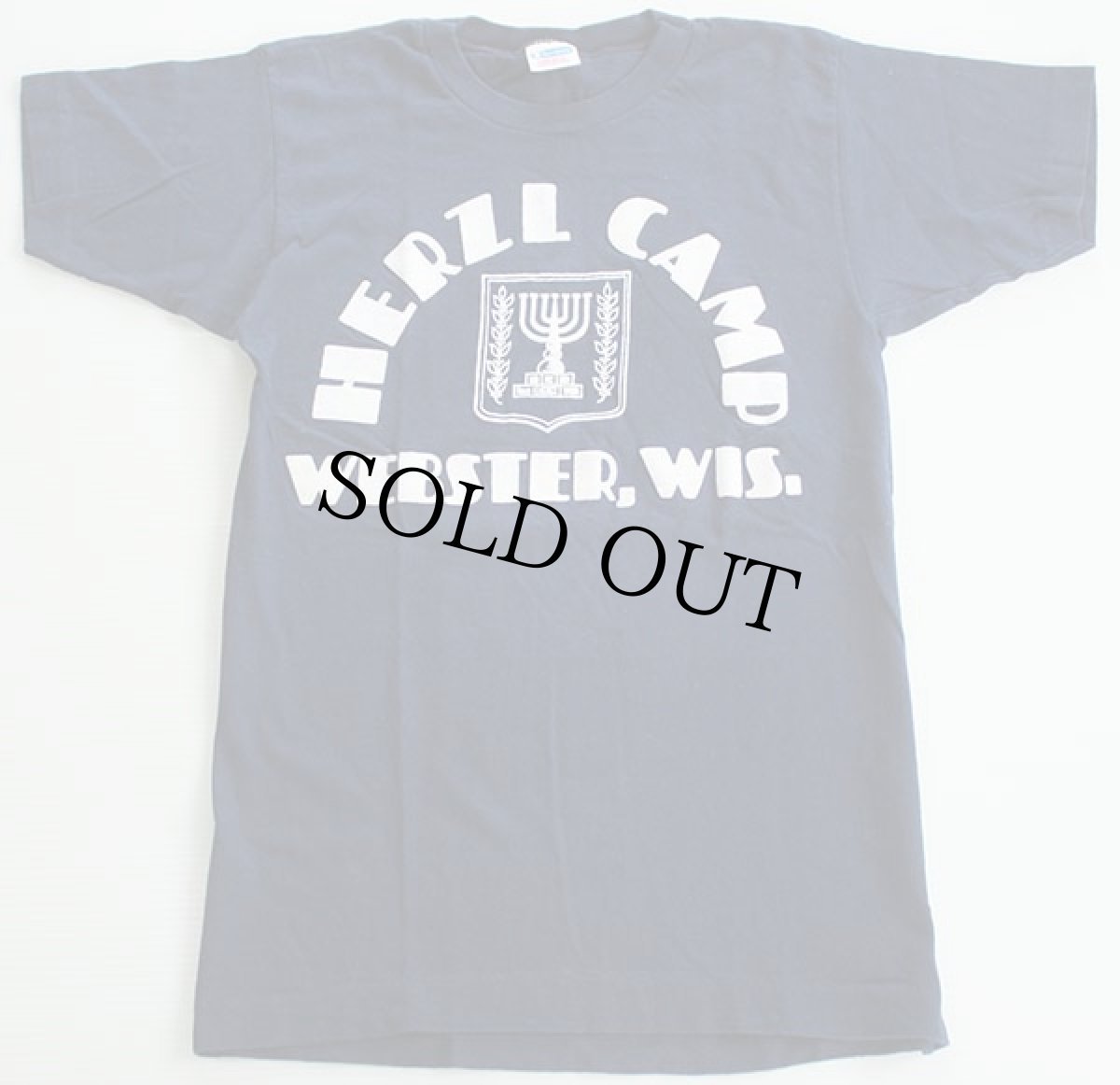 画像2: 70s USA製 Championチャンピオン フロッキープリント コットンTシャツ 紺 S (2)