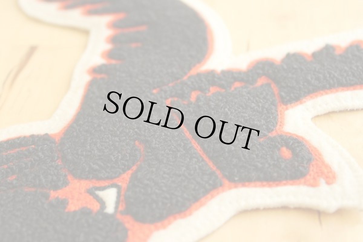 画像3: ビンテージ イーグル レタードパッチ (3)