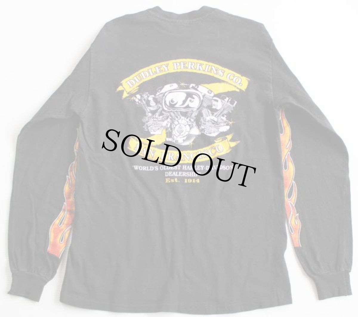 画像2: 80s USA製 Hanes HARLEY-DAVIDSON ハーレー ダビッドソン フレイムス コットン 長袖Tシャツ 黒 M★ファイヤーパターン (2)