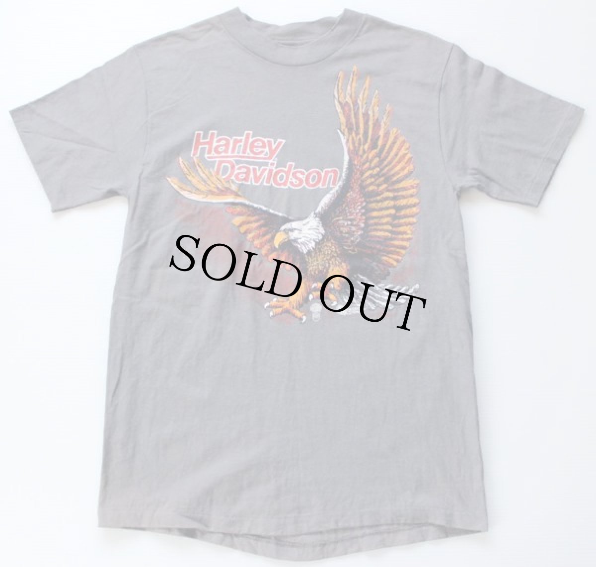 画像2: 80s USA製 Hanes HARLEY-DAVIDSON ハーレー ダビッドソン コットンTシャツ 炭黒 M (2)