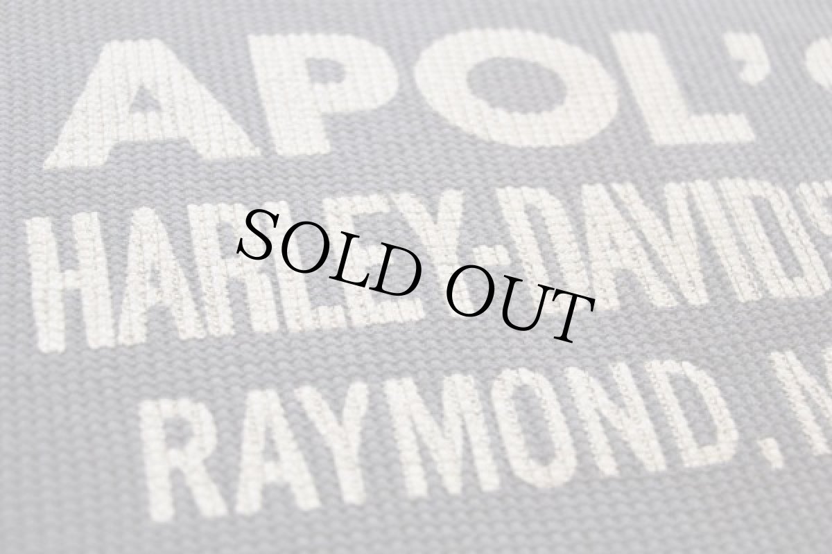 画像5: 80s HARLEY-DAVIDSONハーレー ダビッドソン ツートン サーマルシャツ (5)