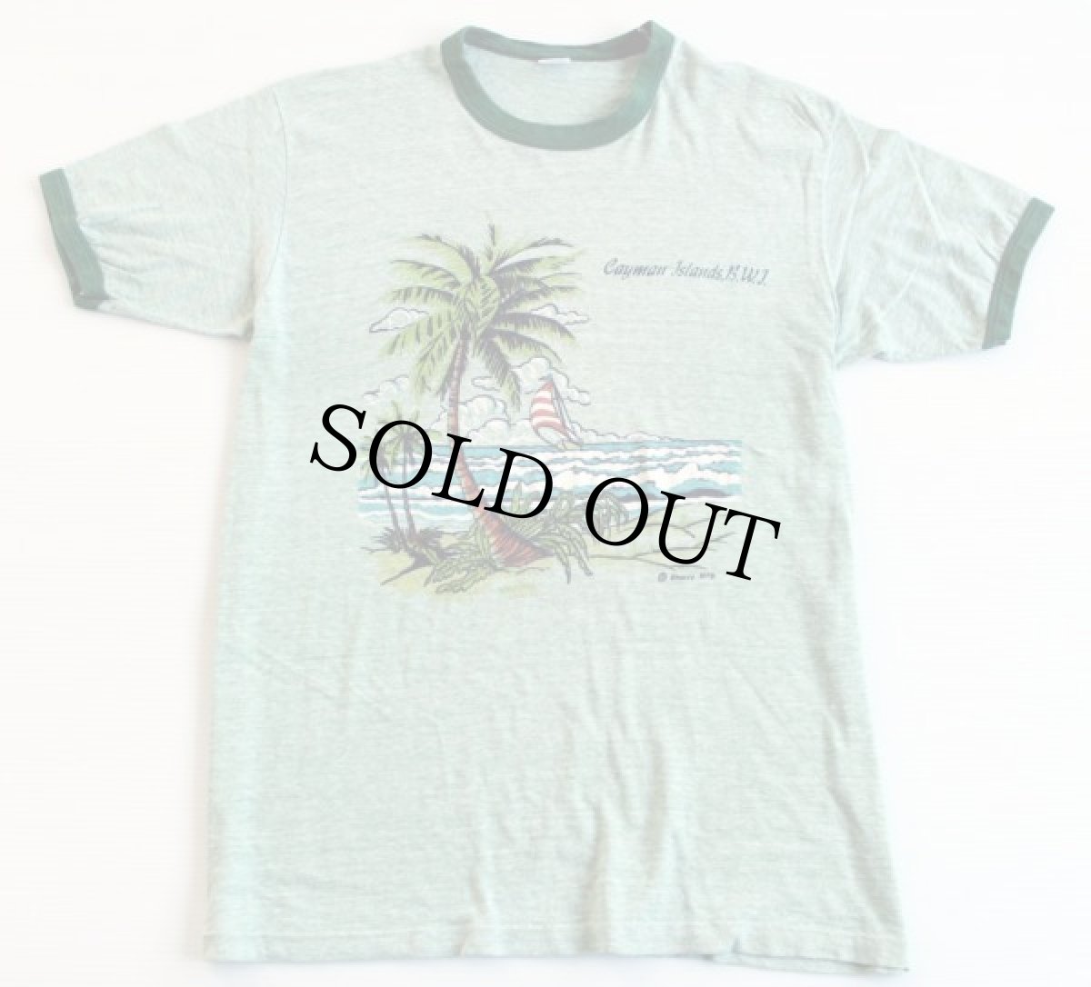 画像2: 70s USA製 Hanes 染み込みプリント リンガーTシャツ 杢グリーン L (2)