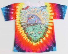 画像2: 90s グレイトフルデッド 1994 Summer Tour タイダイ染め コットン バンドTシャツ M (2)