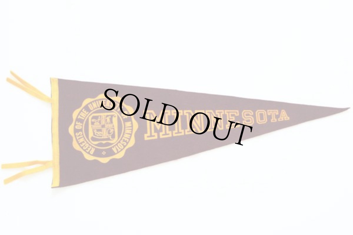 画像2: ビンテージ MINNESOTA カレッジ フロッキープリント フェルトペナント (2)