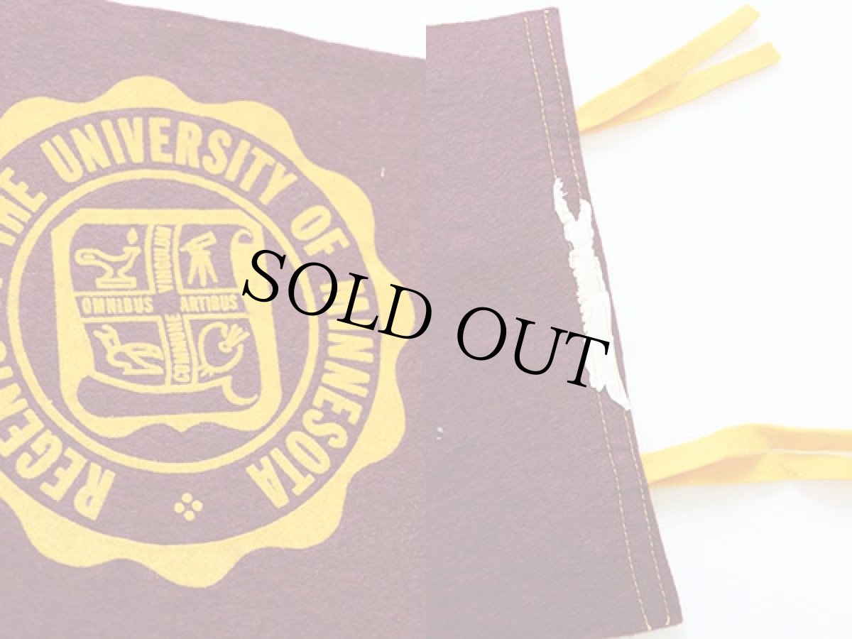 画像3: ビンテージ MINNESOTA カレッジ フロッキープリント フェルトペナント (3)