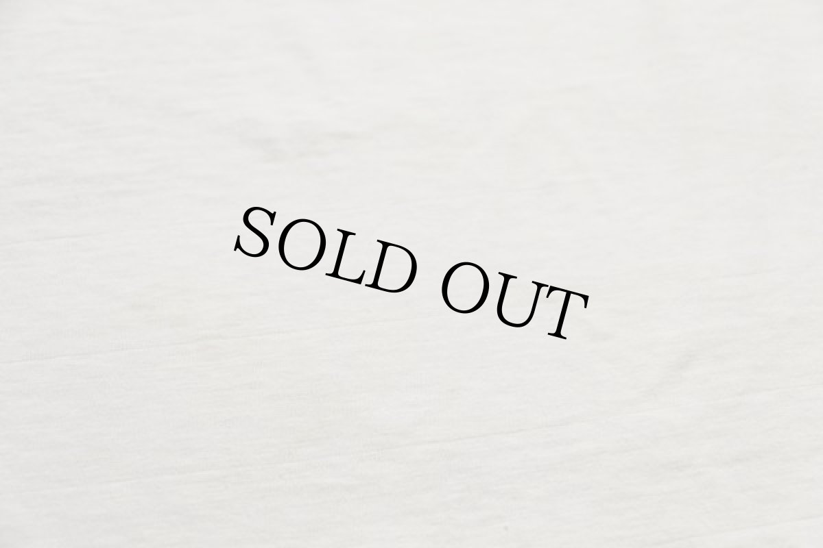 画像6: 50s Championチャンピオン ランタグ DAY CAMP 染み込みプリント コットンTシャツ 白 XL (6)