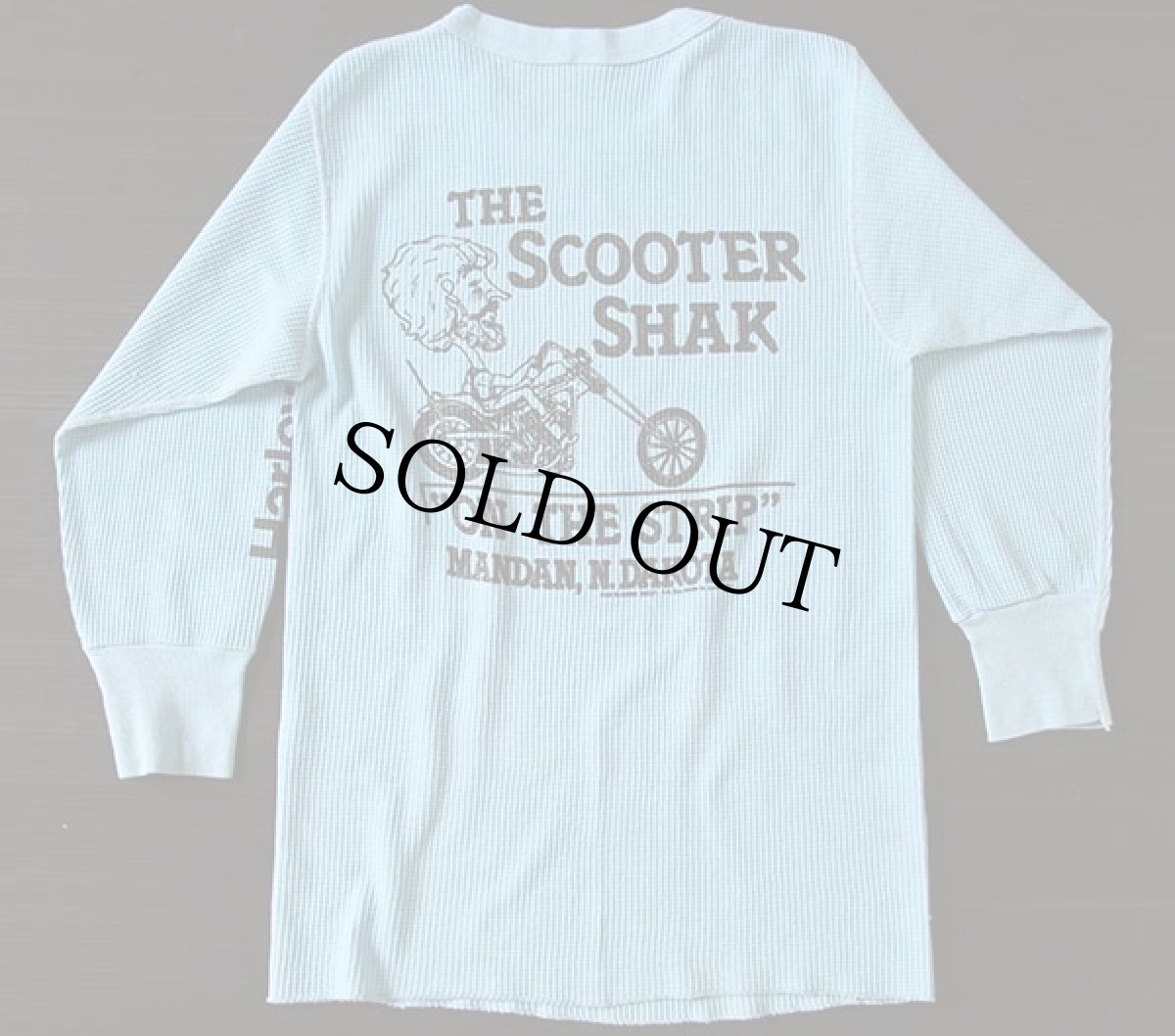 画像2: 80s HARLEY-DAVIDSONハーレー ダビッドソン サーマルシャツ 水色 (2)