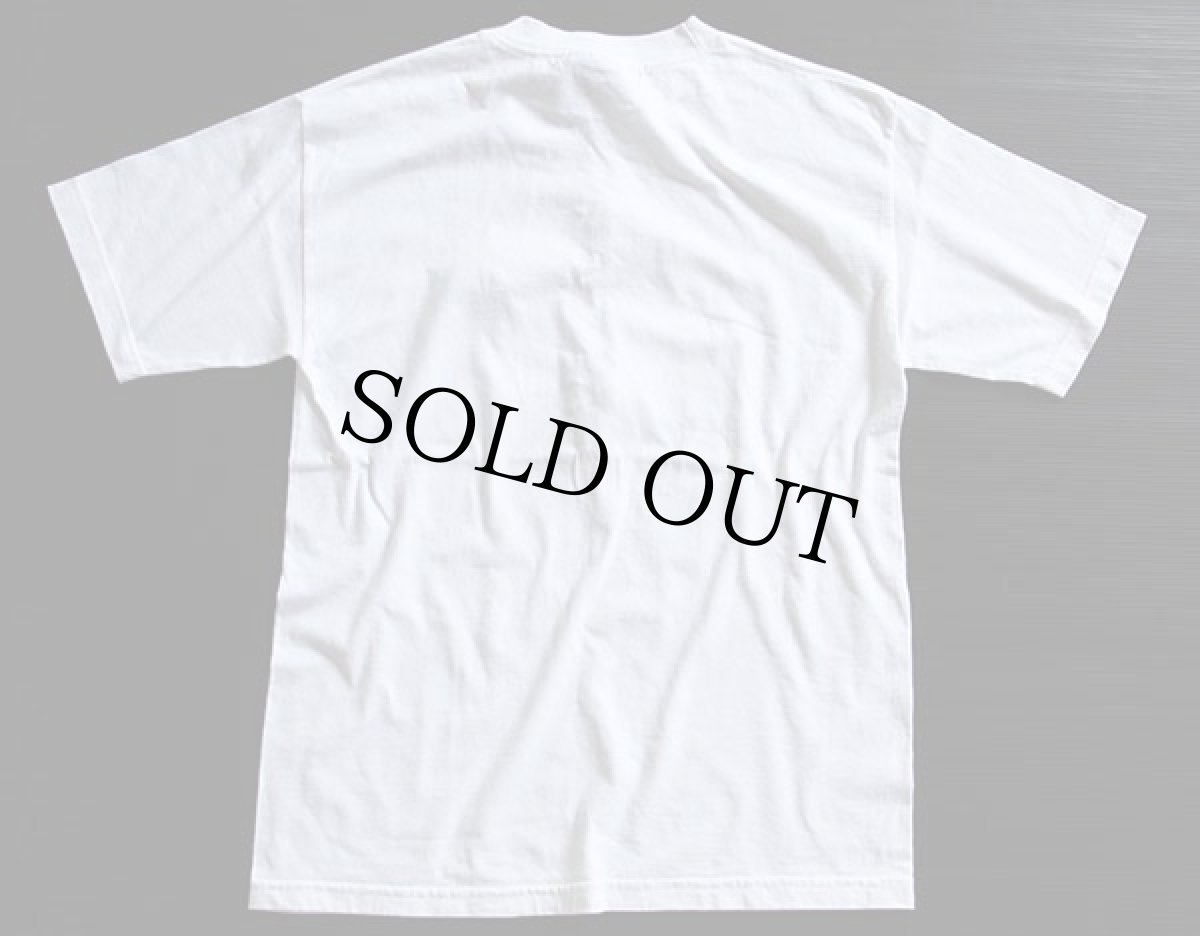 画像2: 90s USA製 WILDTHINGS SNAP-ONS 昆虫 飾り Tシャツ 白 (2)