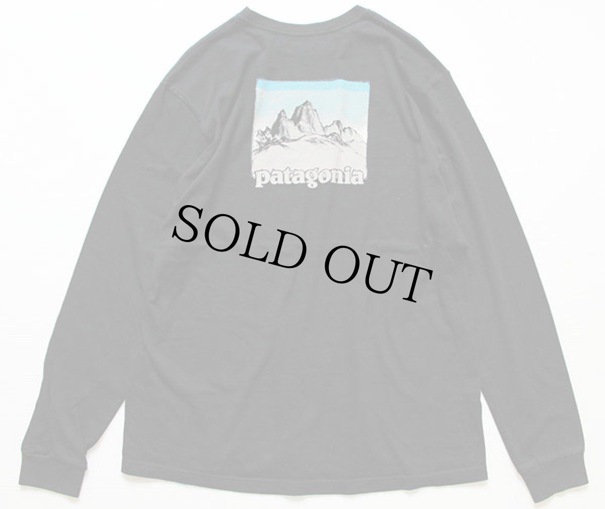 画像3: USA製 patagoniaパタゴニア オーガニックコットン 長袖Tシャツ 黒 M (3)