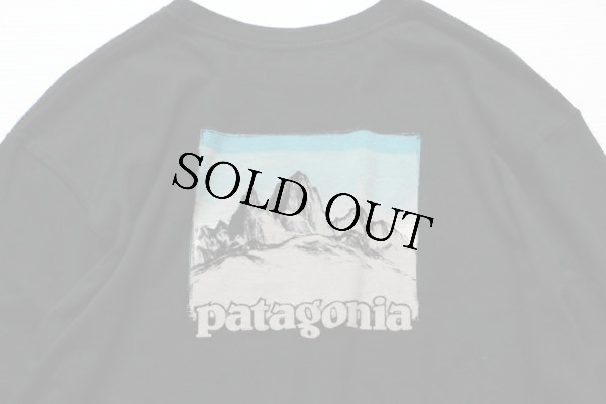 画像5: USA製 patagoniaパタゴニア オーガニックコットン 長袖Tシャツ 黒 M (5)