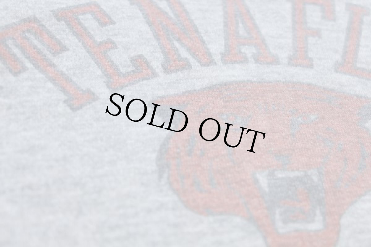 画像3: 80s USA製 Championチャンピオン TENAFLY タイガー 染み込みプリント スウェット 杢グレー L (3)