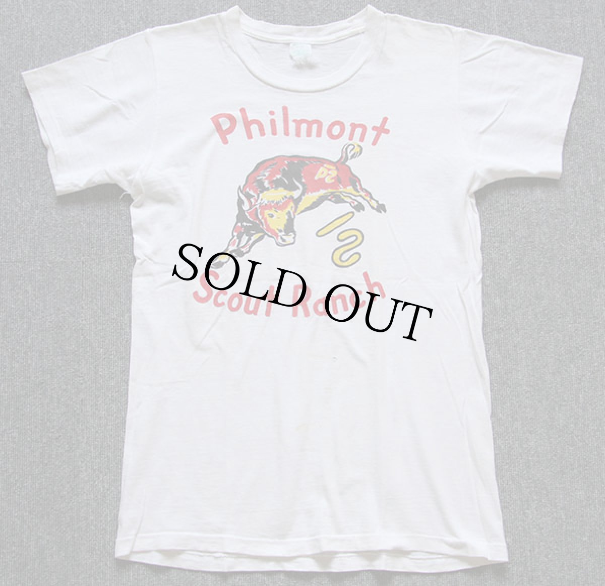 画像2: 60s BSA ボーイスカウト Philmont 染み込みプリント コットンTシャツ 白 (2)