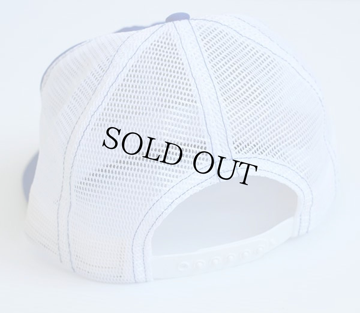 画像2: 80sデッドストック Banvel HERBICIDE パッチ付き メッシュキャップ 青×白 (2)