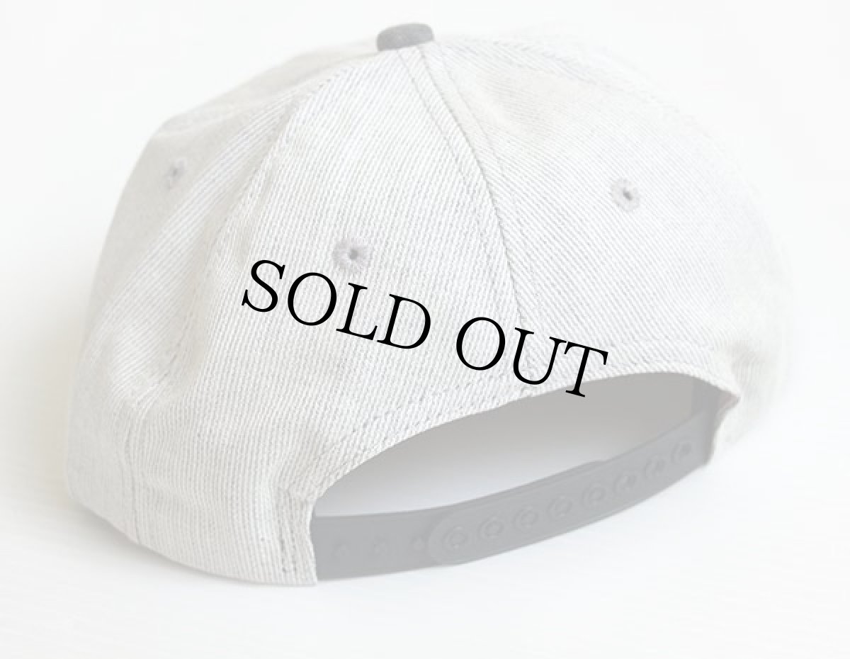 画像2: デッドストック★80s USA製 LG SEEDS ロゴ刺繍 ツートン コットンキャップ ライトグレー×グレー (2)