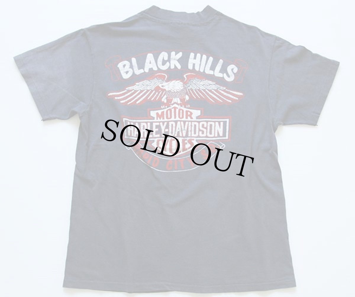 画像2: 80s USA製 Hanes HARLEY-DAVIDSON ハーレー ダビッドソン STURGISスタージス コットンTシャツ 炭黒 L (2)