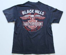 画像2: 80s USA製 Hanes STURGISスタージス HARLEY-DAVIDSONハーレーダビッドソン コットンTシャツ 墨黒 L (2)