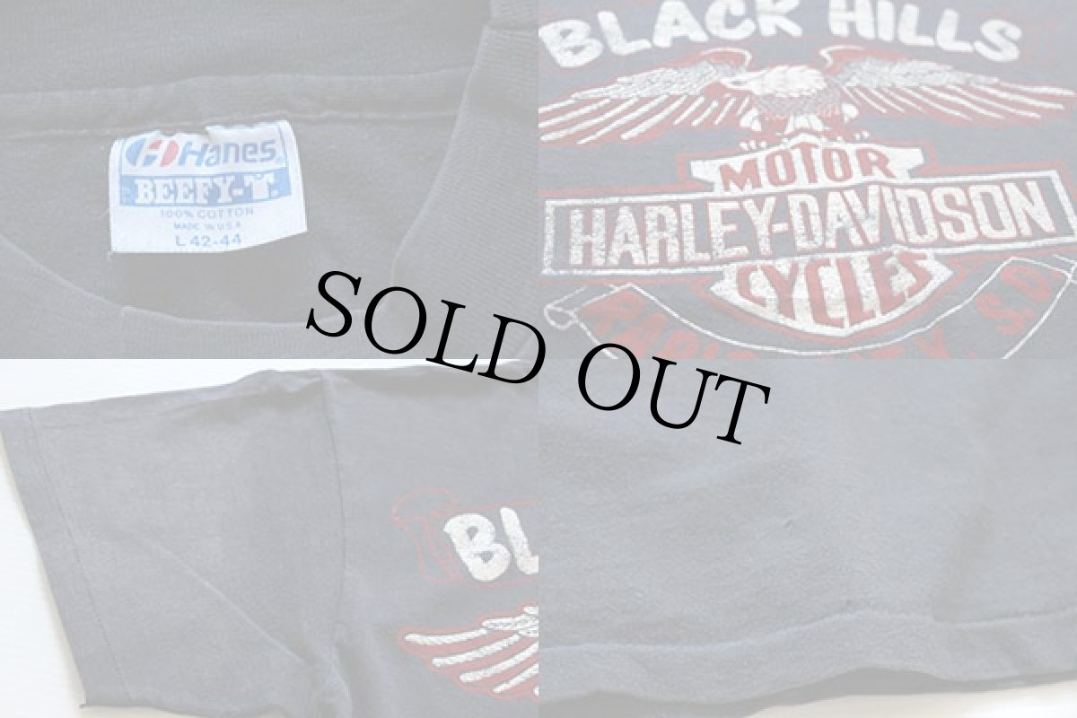 画像3: 80s USA製 Hanes HARLEY-DAVIDSON ハーレー ダビッドソン STURGISスタージス コットンTシャツ 炭黒 L (3)