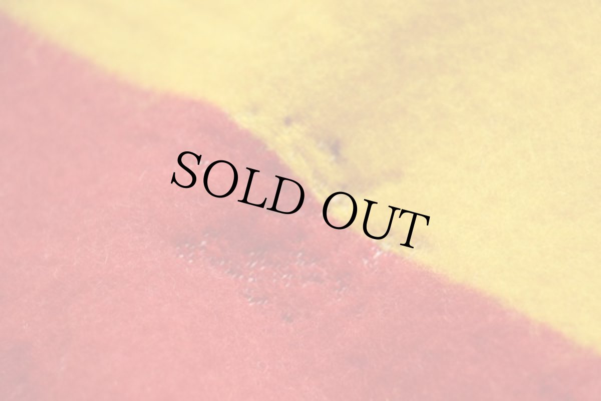 画像6: デッドストック★70s USA製 PENDLETONペンドルトン RAINIER PARK マルチボーダー ウール ブランケット (6)