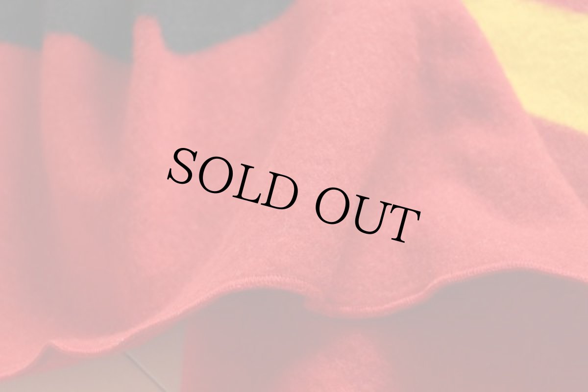 画像5: デッドストック★70s USA製 PENDLETONペンドルトン RAINIER PARK マルチボーダー ウール ブランケット (5)