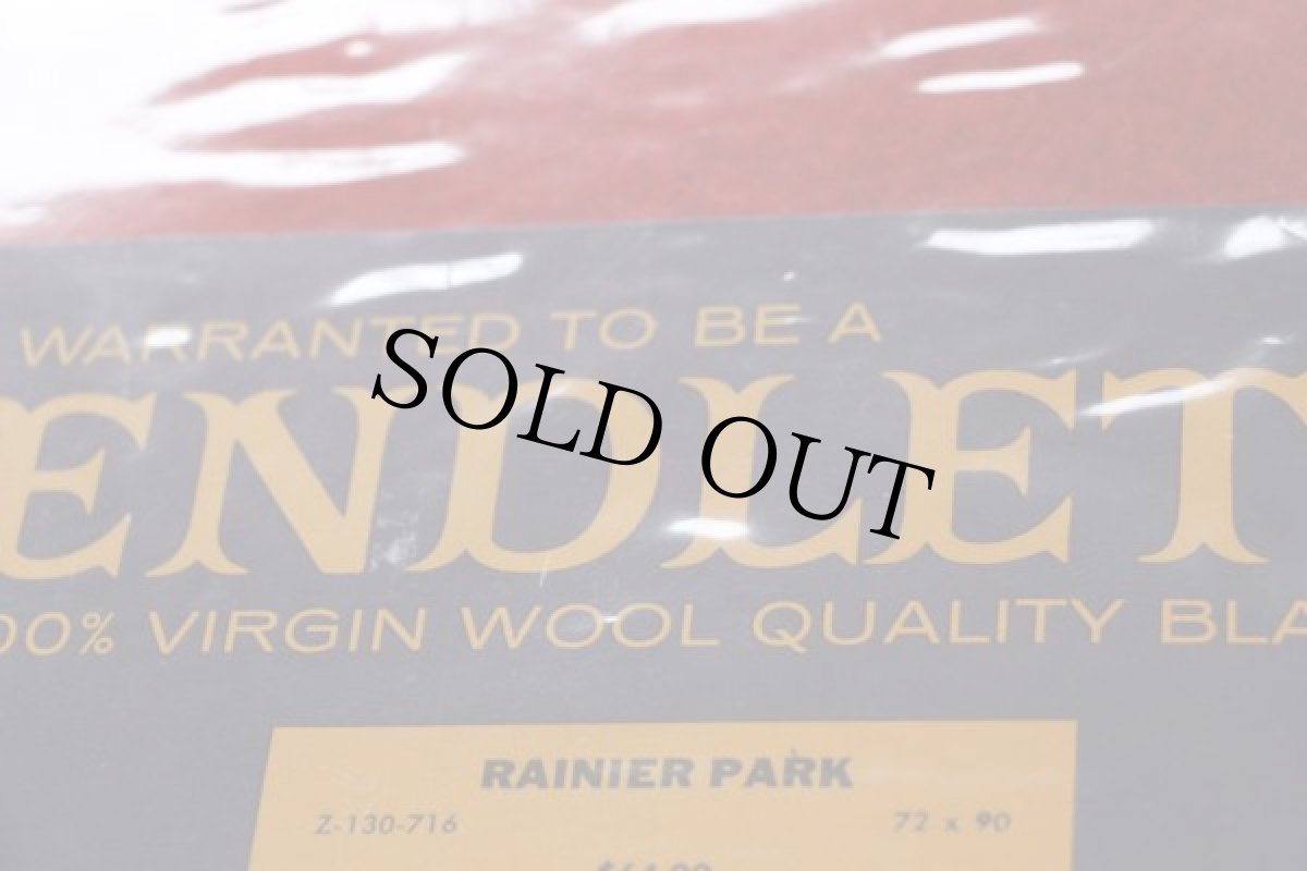 画像7: デッドストック★70s USA製 PENDLETONペンドルトン RAINIER PARK マルチボーダー ウール ブランケット (7)