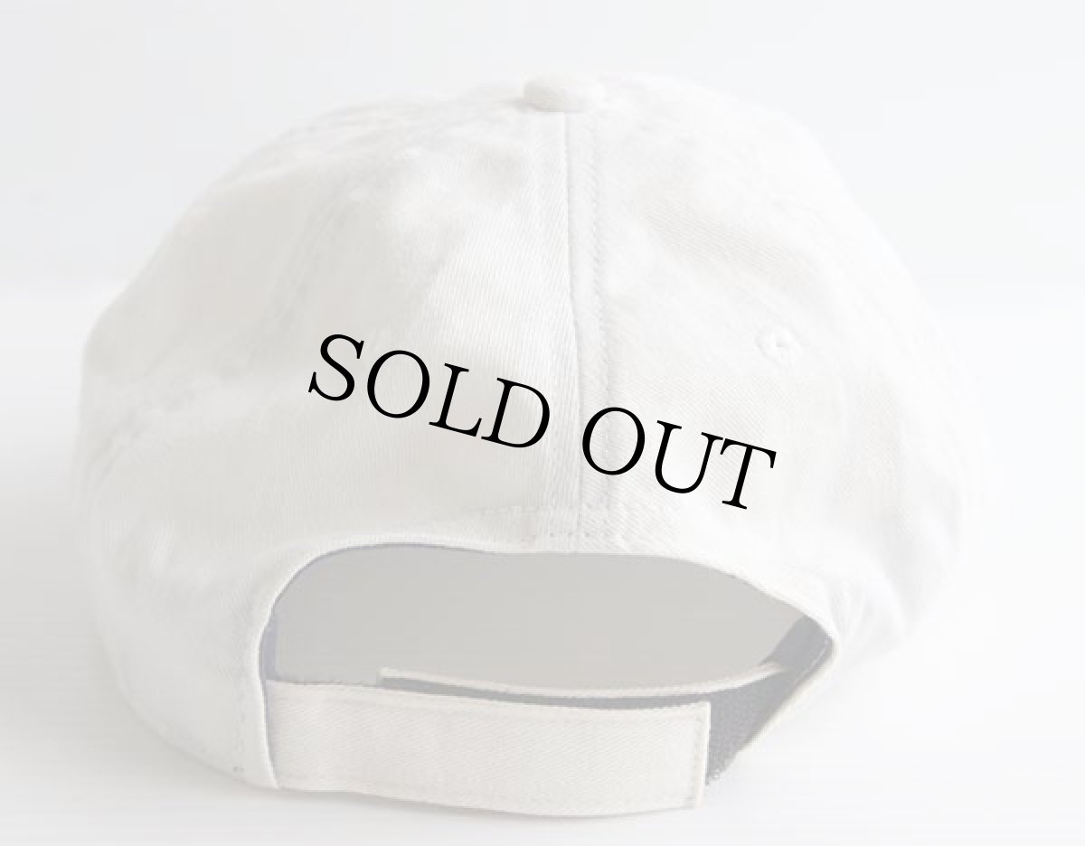 画像2: 90s Columbiaコロンビア 魚柄 刺繍 コットンキャップ オフホワイト (2)