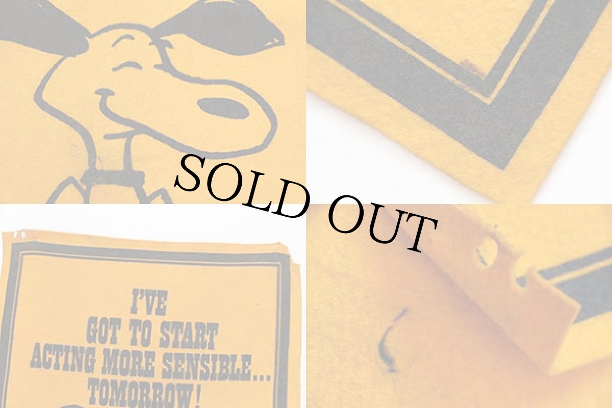 画像3: 70s PEANUTS SNOOPY スヌーピー フェルト ペナント マスタード (3)