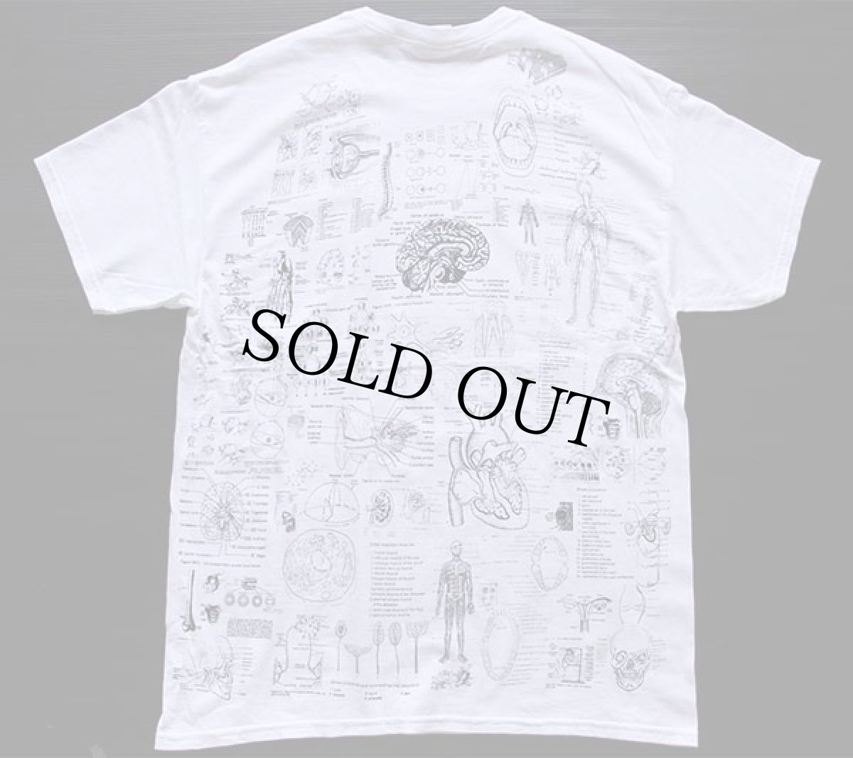 画像2: BLINDED BY SCIENCE 人体 解剖図 コットンTシャツ 白 L (2)