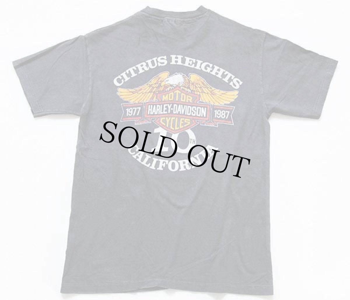 画像3: 80s USA製 Hanes HARLEY-DAVIDSON ハーレー ダビッドソン ロゴ コットンTシャツ 炭黒 L (3)