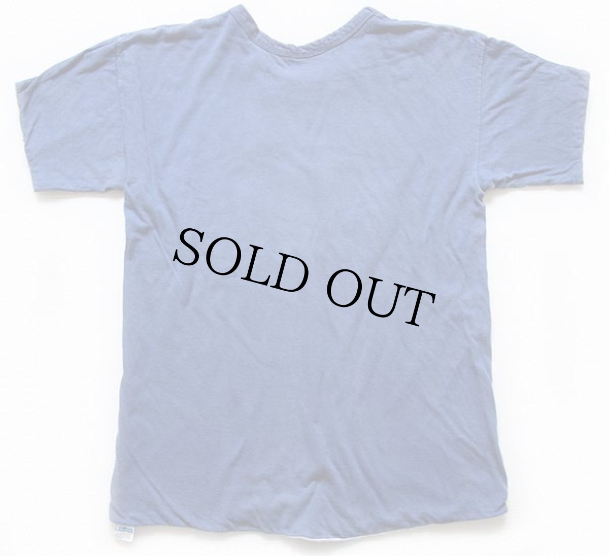 画像2: 70s USA製 Championチャンピオン MONTICELLO PONIES コットン リバーシブルTシャツ 青×白 L (2)