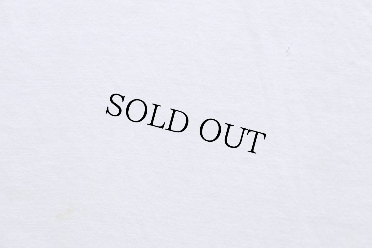 画像6: 50s BSA ボーイスカウト H.RO BARTLE SCOUT RESERVATION 染み込みプリント コットンTシャツ 白 M (6)