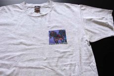 画像1: 90s USA製 EMS 両面プリント コットンTシャツ 杢ライトグレー XL (1)