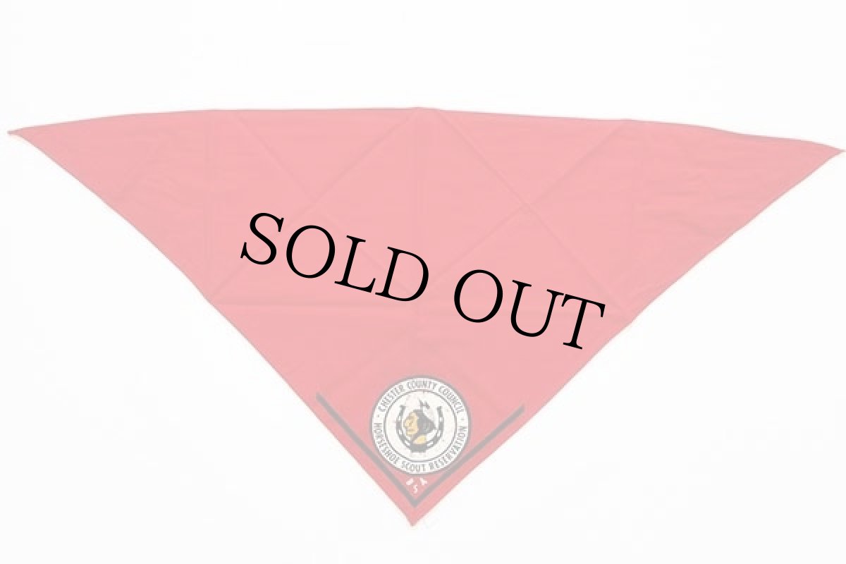 画像2: ビンテージ BSA ボーイスカウト インディアンヘッド ネッカチーフ 赤 (2)