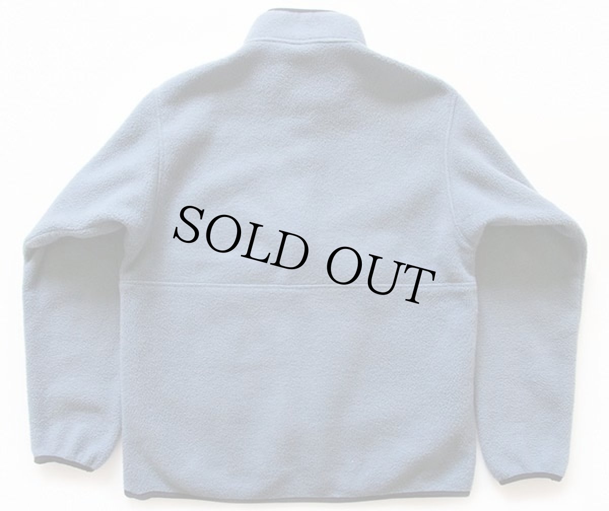 画像2: 00s patagoniaパタゴニア マースピアル ハーフジップ プルオーバー シンチラ フリース ブルーグレー M (2)