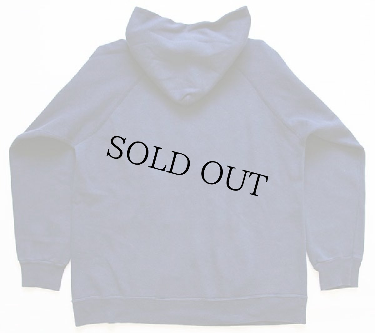 画像2: 80s USA製 Championチャンピオン CARLETON COLLEGE フロッキープリント スウェットパーカー 紺 XL (2)