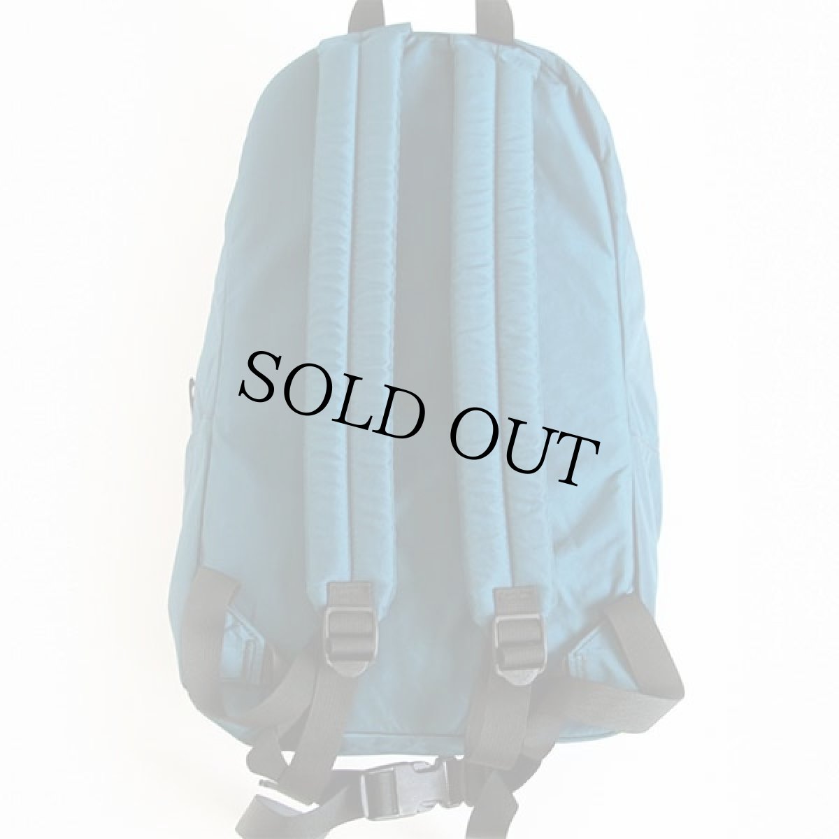 画像2: 90s USA製 patagoniaパタゴニア ナイロン デイパック ブルーグラス★リュックサック (2)