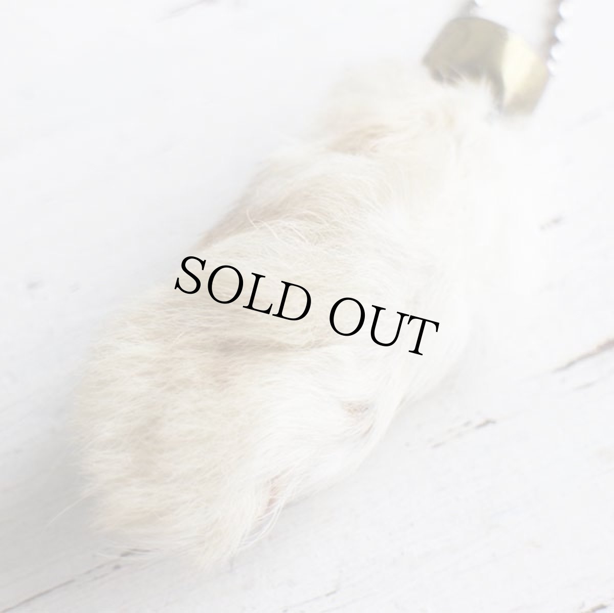 画像4: ビンテージ LUCKEY CHARMラッキーチャーム ラビットフット 白 (4)