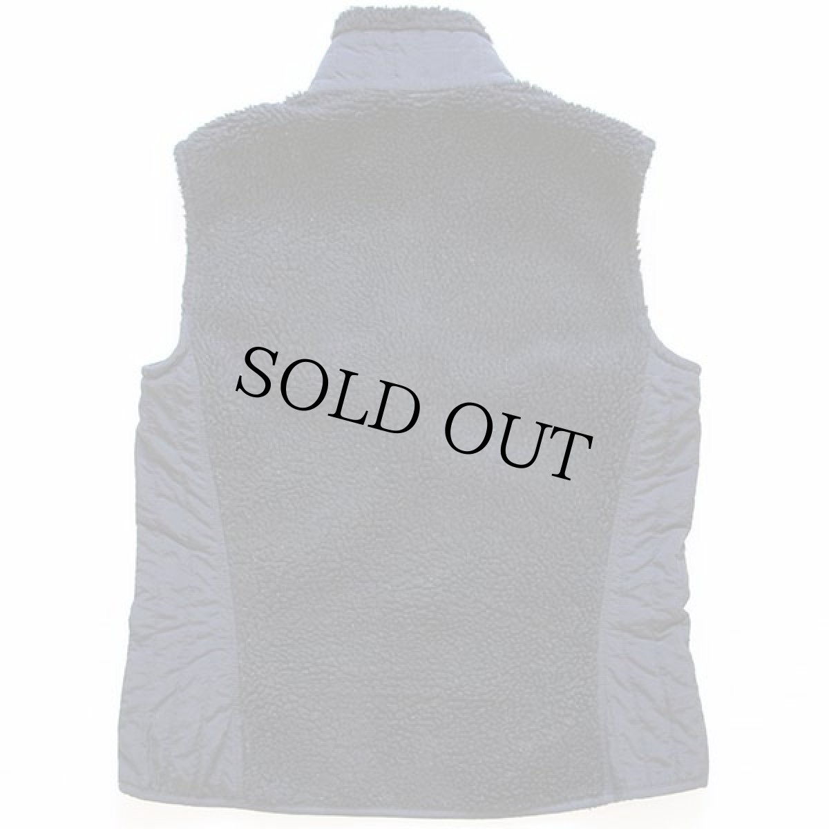 画像2: patagoniaパタゴニア レトロX フリースベスト 黒 W-M (2)