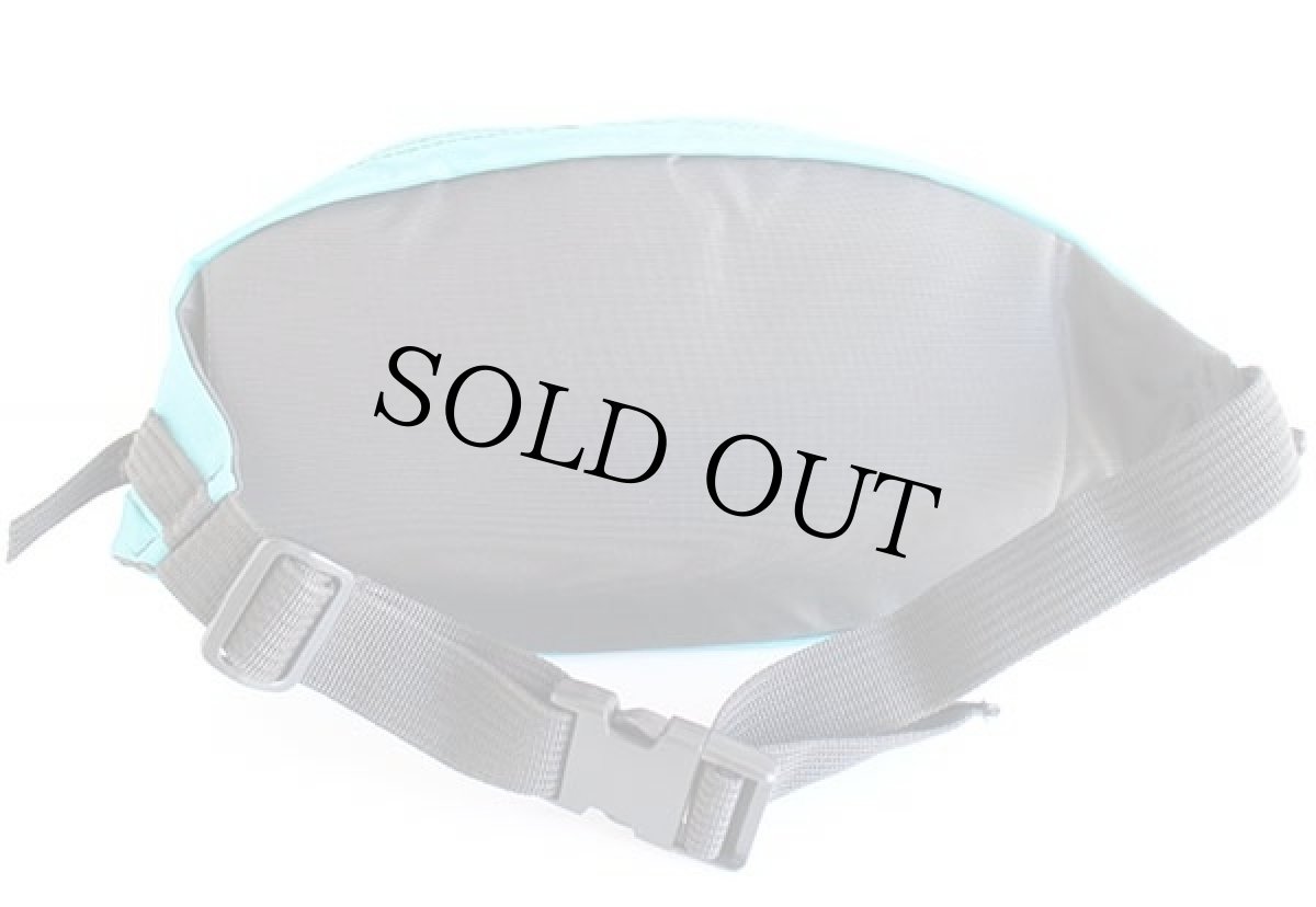 画像2: 90s NIKEナイキ ECHELON ロゴ ツートン ナイロン ウエストバッグ 青緑×蛍光ピンク (2)