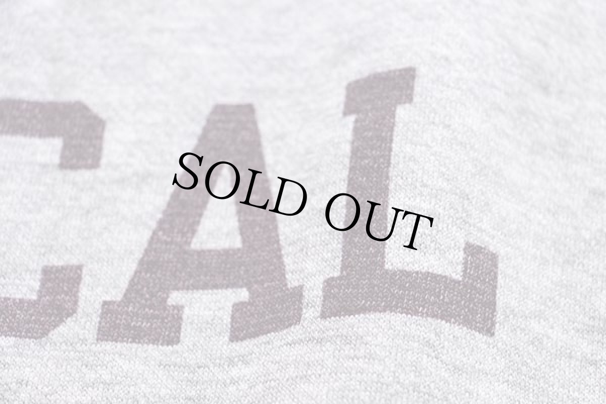 画像5: 80s USA製 Championチャンピオン HARVARD MEDICAL 染み込みプリント スウェット 杢グレー XL (5)