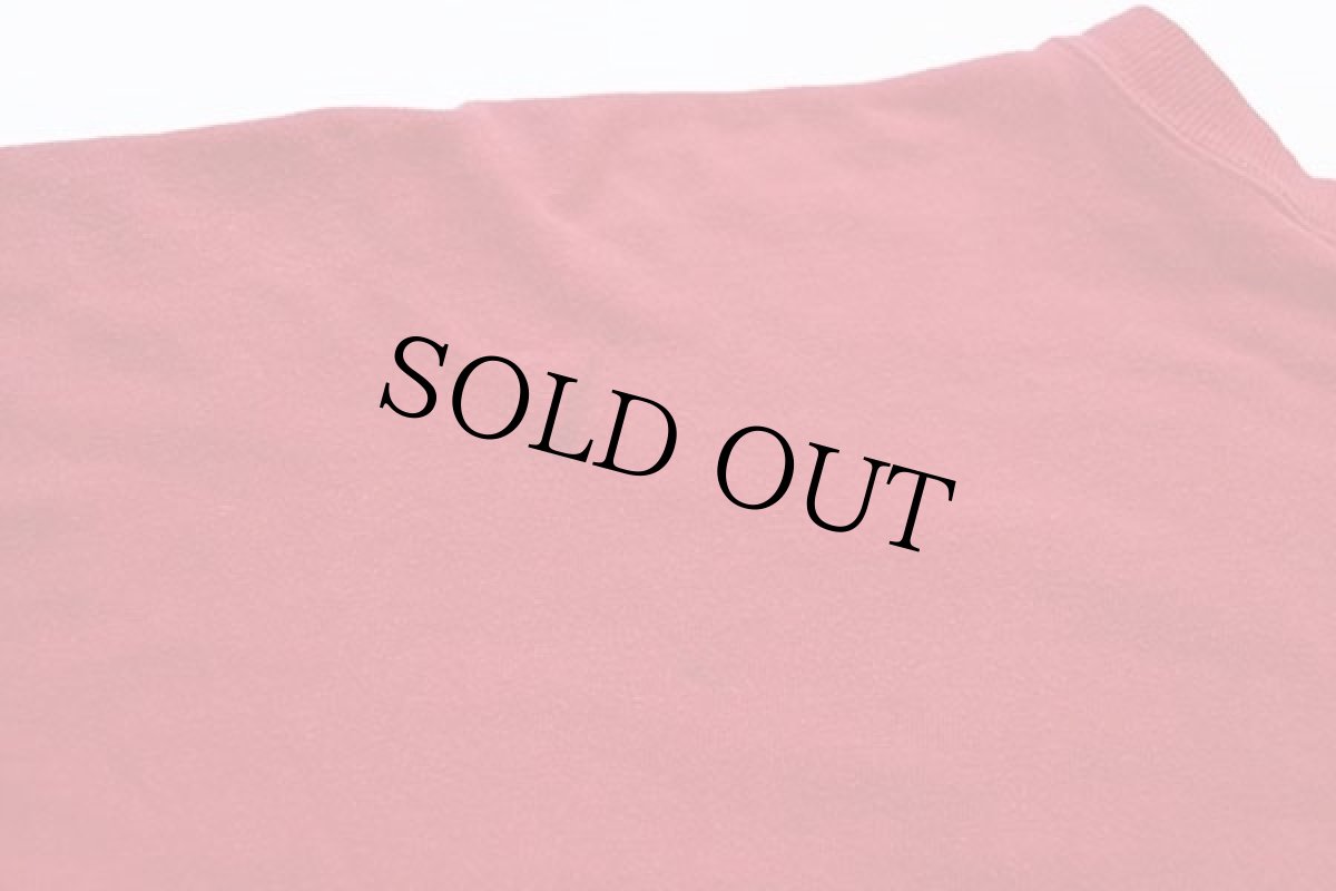 画像7: 70s USA製 RUSSELLラッセル GROVE CITY COLLEGE 四段中抜き コットン リバーシブルTシャツ 赤×ライトグレー (7)