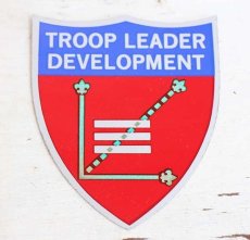 画像1: デッドストック★USA製 BSA ボーイスカウト TROOP LEADER DEVELOPMENT ステッカー (1)