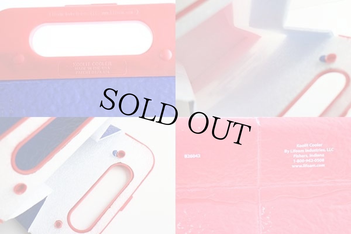 画像3: USA製 Pabst Blue Ribbon BEER KOOLIT COOLER クーラーバッグ (3)