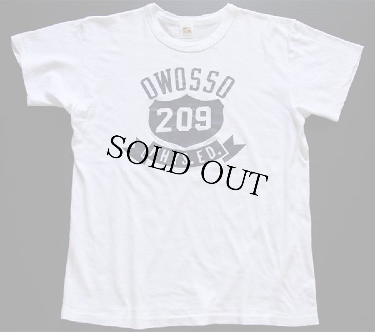 画像2: 70s USA製 RUSSELLラッセル OWOSSO 209 コットンTシャツ 白 M (2)