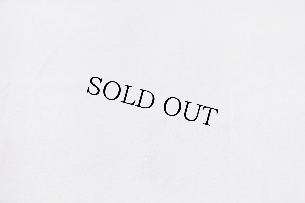 画像6: 80s USA製 Championチャンピオン BRANDEIS 三段中抜き 染み込みプリント コットン フットボールTシャツ 生成り L (6)